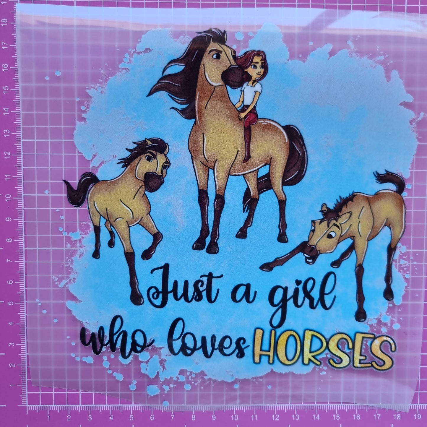 Girl loves horses NEW Transfer